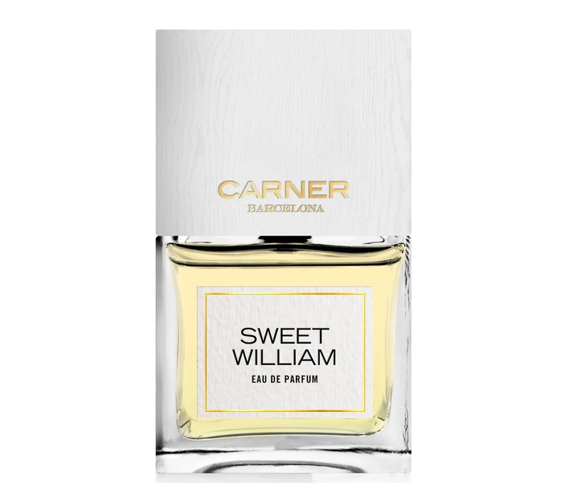 CARNER BARCELONA Sweet William