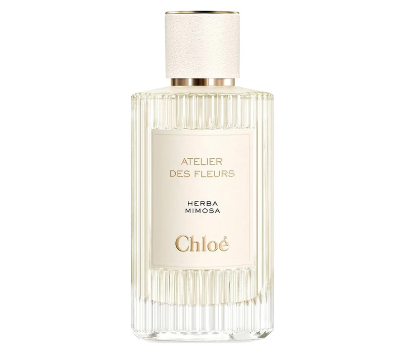 Chloé e Atelier Des Fleurs Herba Mimosa