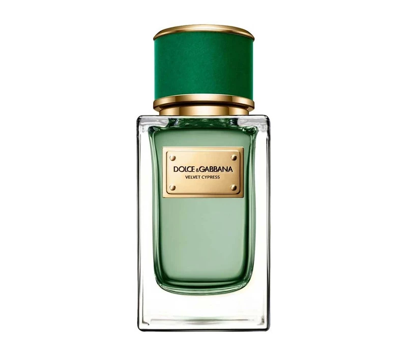 Dolce & Gabbana Velvet Cypress