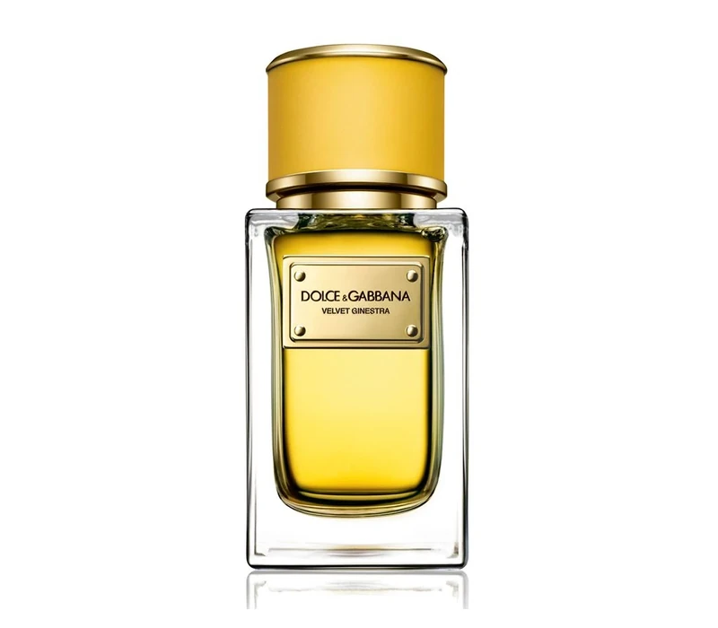 Dolce & Gabbana Velvet Ginestra