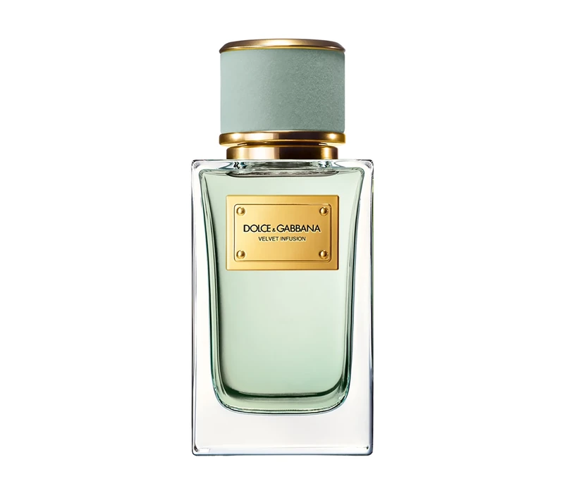 Dolce & Gabbana Velvet Infusion