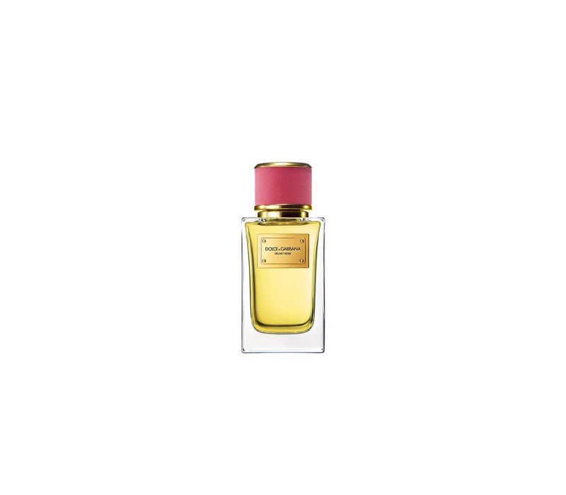 Dolce & Gabbana Velvet Rose