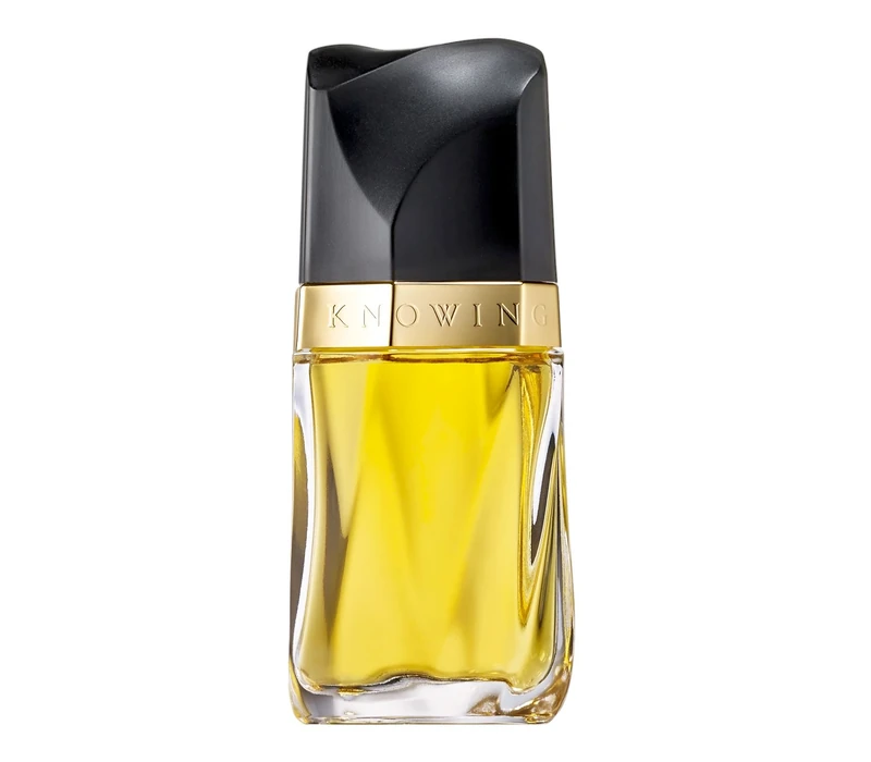 Estee Lauder Knowing